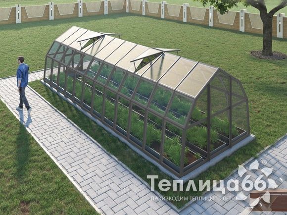 Теплица Рада Нева под стекло, 2,65х8 метров, Графитовая