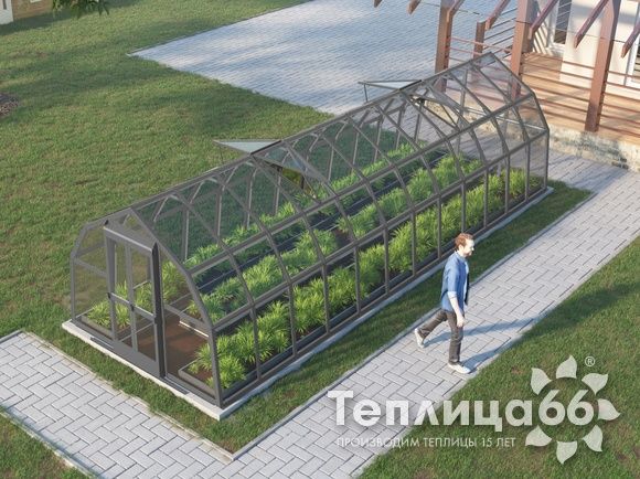 Теплица Рада Нева под стекло, 2,65х8 метров, Графитовая