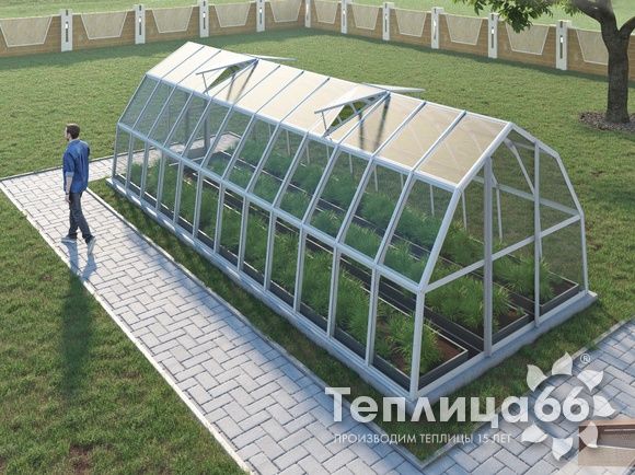 Теплица Рада Исеть под стекло 3х8 метров, белая