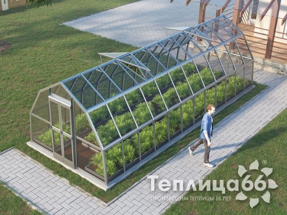 Теплица Рада Исеть под стекло, 3х8 метра