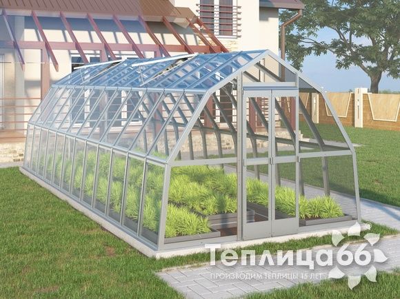 Теплица Рада Исеть под стекло, 3х8 метра