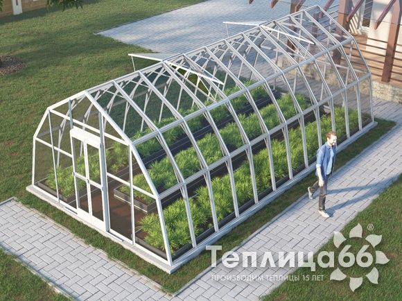 Теплица Рада Енисей под стекло, 4х8 метров, белая