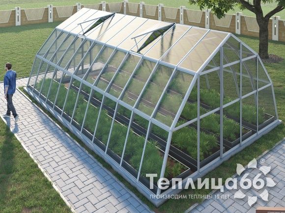 Теплица Рада Амазонка под стекло, 5х8 метров, белая