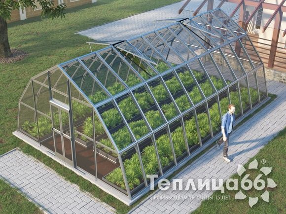 Теплица Рада Амазонка под стекло, 5х8 метров