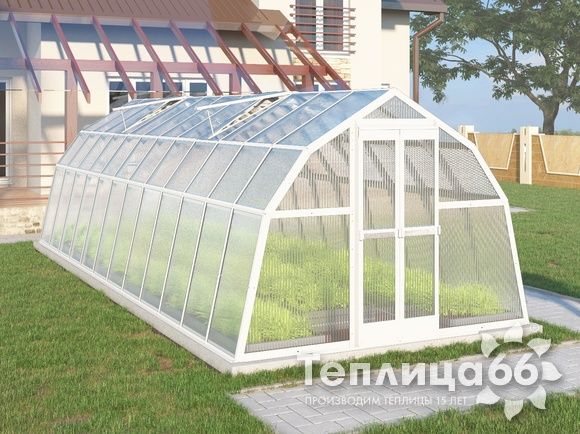 Теплица Рада Байкал из поликарбоната, 3x8 метров, белая