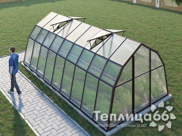 Теплица Рада Байкал из поликарбоната, 3x6 метров, коричневая
