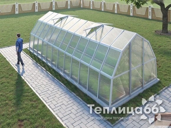 Теплица Рада Рица из поликарбоната, 3x8 метров, белая