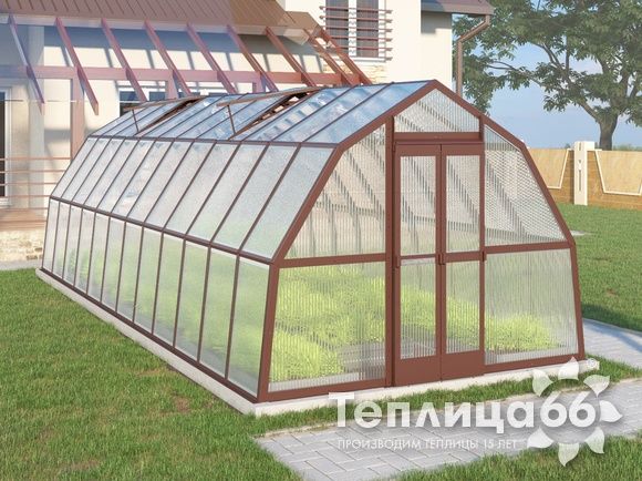 Теплица Рада Рица из поликарбоната, 3x8 метров, коричневая