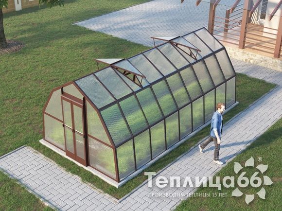 Теплица Рада Рица из поликарбоната, 3x6 метров, коричневая