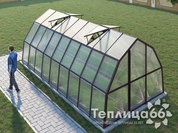 Теплица Рада Рица из поликарбоната, 3x6 метров, коричневая