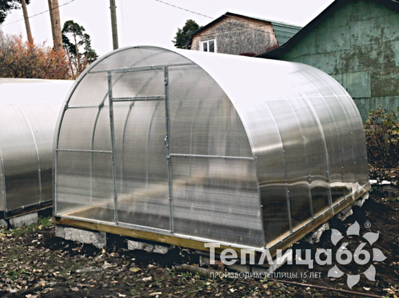 Теплица Рада Астра Стандарт, оцинкованный профиль 20х20, покрытие из поликарбоната, шириной 3 метра (шаг 1 м)