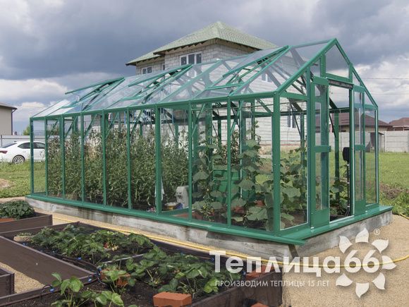 Теплица Рада Гарденикс 3 С (под стекло), ширина 3 м